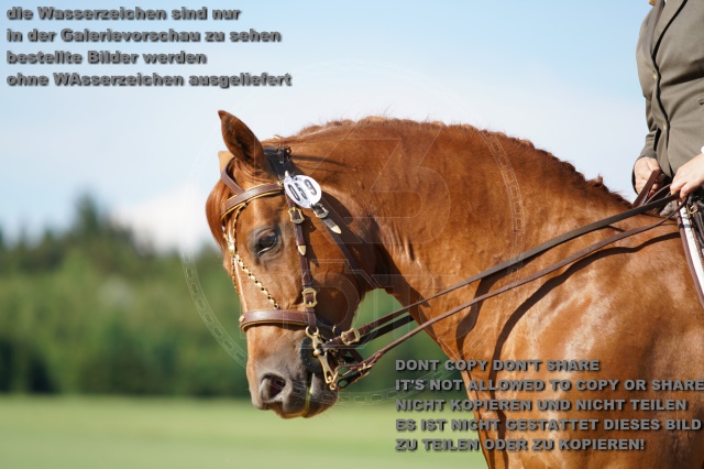 s_K3F05039.JPG